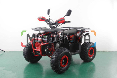 Квадроцикл | FREELANDER PRO 200 XTS красный (машинокомплект) Квадроцикл | FREELANDER PRO 200 XTS красный (машинокомплект)